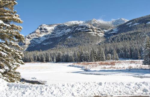 Chico Peak cabin nr Yellowstone,Chico Hot Springs - Foto 28