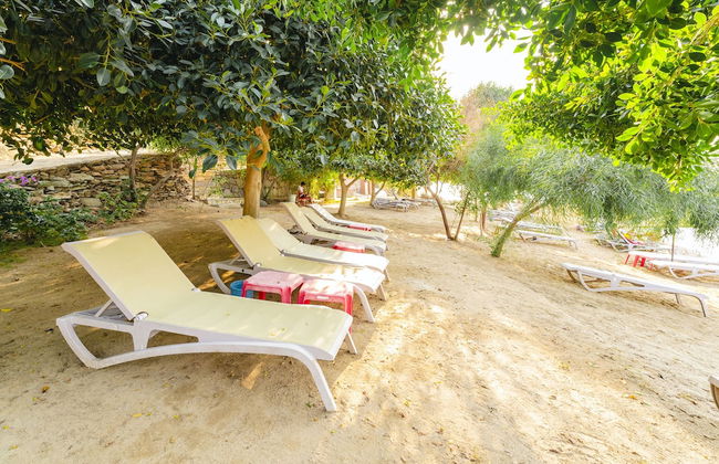 Bodrum Bargilya Villaları - Foto 46