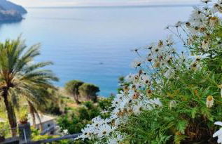 La Coccinelle - Superb Views - Foto 25