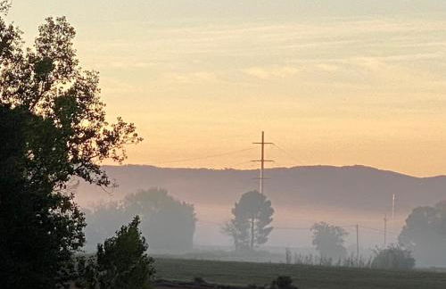 Can Massanet - Photo 16