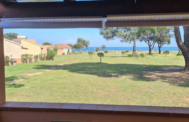 Pinea Mare - Foto 67