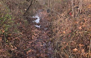 The Happy Place - Foto 21