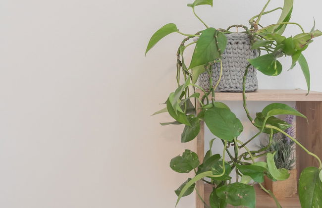 Nonna Tere Apartment - Foto 49