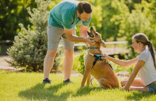 The Hummingbird at Zen Zion - Photo 39