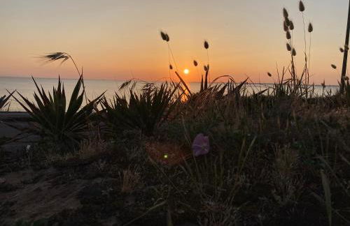Grande maison face à l'océan - Photo 28