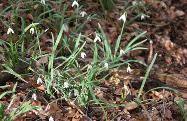 Gite de la Fontaine de Barry - Foto 12