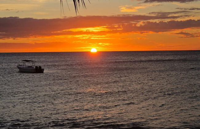 Katamaran-Kreuzfahrt nach Bahia de las Aguilas - Foto 16