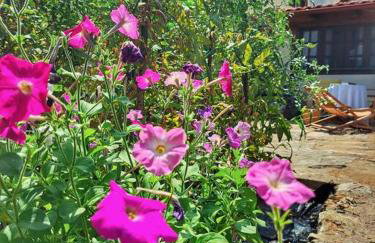 Panthea Cottage - Foto 49