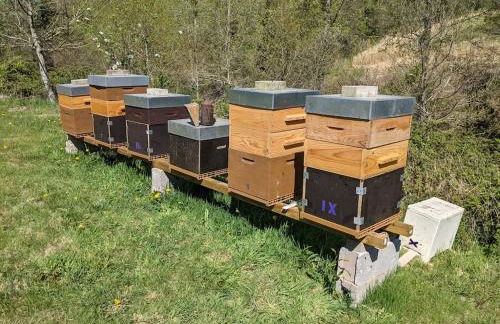 L'Angeberdière - Foto 22