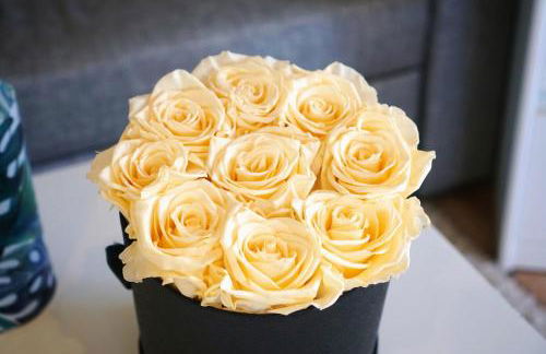 Moseltraum-Fewo mit Klimaanlage-Burgblick und Balkon - Foto 28