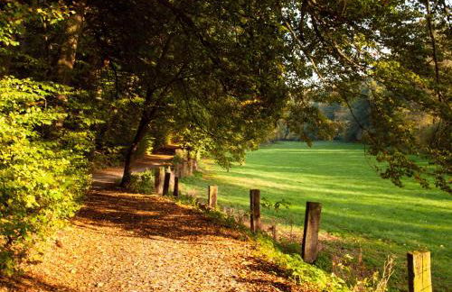 FeWo Hoppenhof 2 - Foto 22