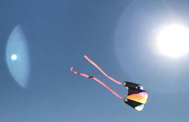 Capt'n Eike - Foto 49