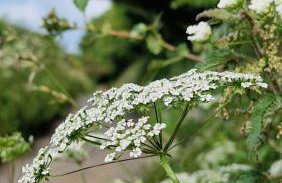 Wagtail Barn - Foto 58