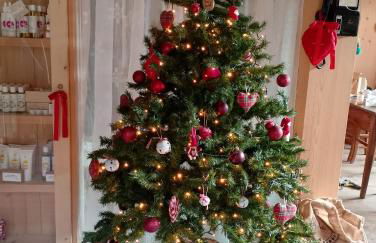 AGRITURISMO BORGO DAMOS - Foto 75