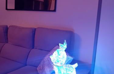 T2 cosy plénitude h24 wifi parking privé Netflix - Foto 8