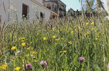 Gîte atypique plus haut de Vendée 10mn Puy duFou - Photo 33