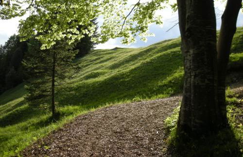 Gästehaus Anneliese - Foto 45