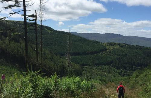 The Downshire Arms Apartments Hilltown - Foto 72