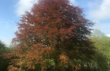 Schmuckstück in Ostseenähe - Foto 19