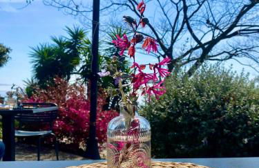 Trevignano Casa fronte lago - Foto 7