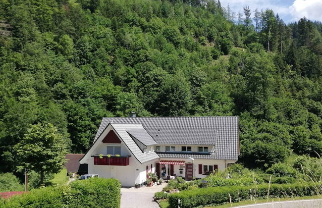 Pretty Apartment in Oppenau near Black Forest National Park - Foto 27