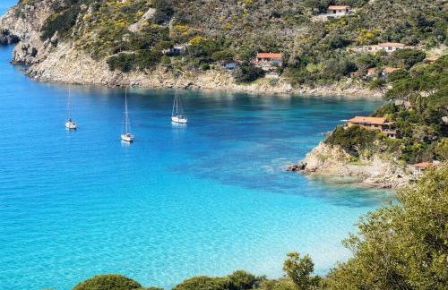 La Cartomante di Bonaparte - Foto 33