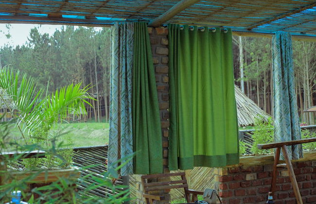 Nyungu Yamawe Forest Park - Foto 16