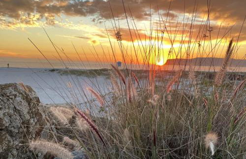1907 Stone House - King Bed, Office, Crib, Toys - Foto 66