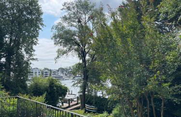 Historic Annapolis Treasure - Foto 77