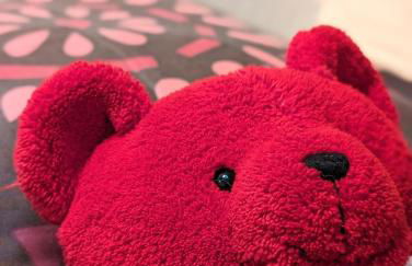 La bi-coque du Courtgain - Foto 10