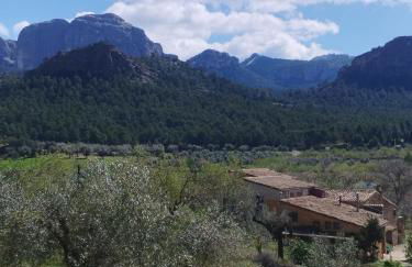 Mas de Manresa - Foto 28