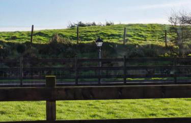 Cozies Cabin - Foto 11