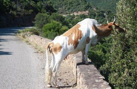 Maison de caractère, pierre sèche, Galéria, pour 2 - Foto 21