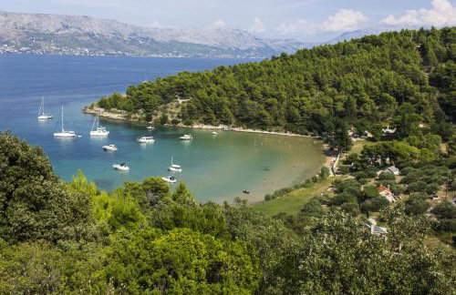 Apartments Ivana - Photo 66