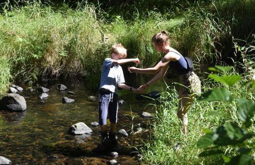 Grünsteinhof - Wohnung Rotstein - Foto 5