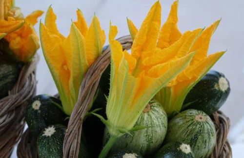 giardino del tempo - Foto 21