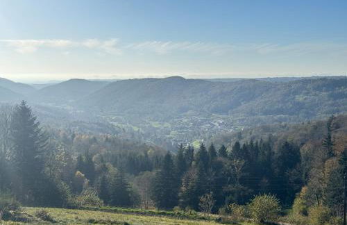 Le colibri au pied des ballons des Vosges - Foto 16