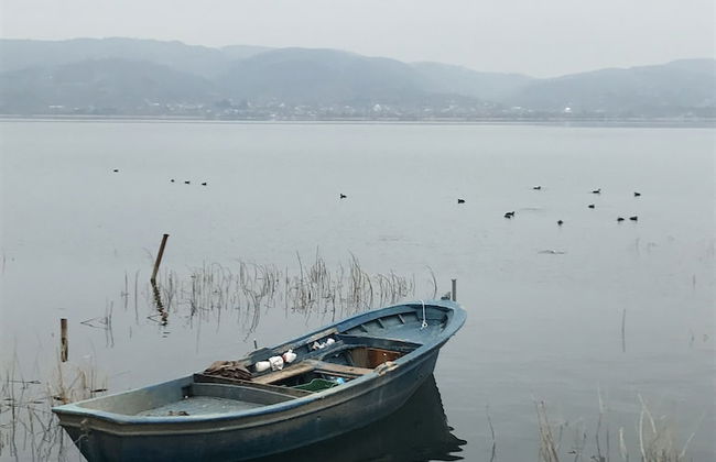 Arteria Family Residence & Suit Hotel - Foto 2