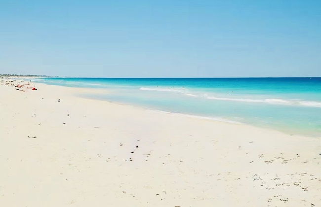 Scarborough & Absolutely Beachfront - Foto 25