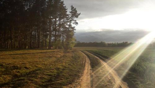 Agroturystyka Szafarnia 19 - Foto 4