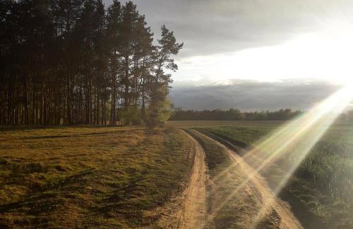 Agroturystyka Szafarnia 19 - Foto 4