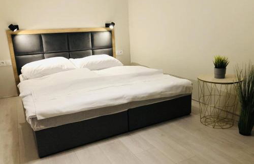 APARTAMENT MIERZYN Sauna & Jacuzzi - Foto 13