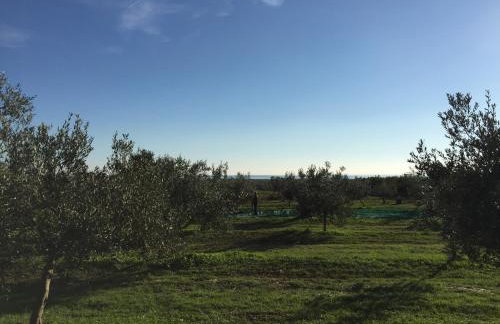 Apartman Ostrea *** - Foto 42