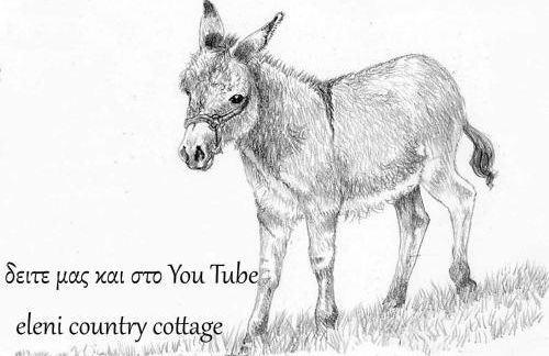 Eleni Country Cottage 2 - Foto 12