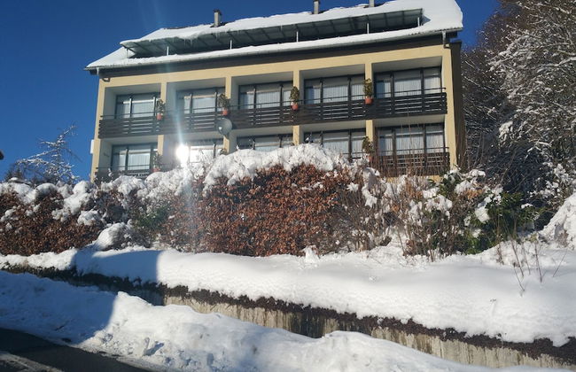 Habitación Doble Estándar - Panorama Hotel Pension Frohnau - Foto 31