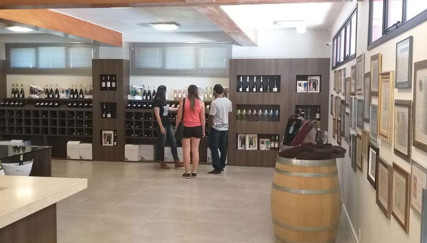 Visitando una bodega