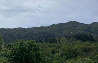 Apartamento Casa Güelu - Foto 24