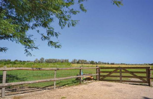 Les Piboules - Foto 13