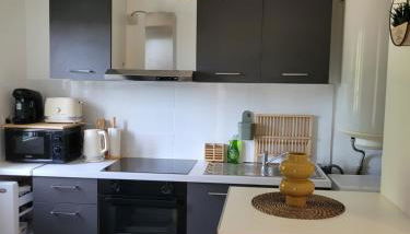 COCOONING HOUSE Suite 216 SWEET AND HARMONY- AEROPORT PARIS ROISSY CDG, PARC ASTERIX, CHATEAU DE CHANTILLY, STADE DE FRANCE - Foto 3