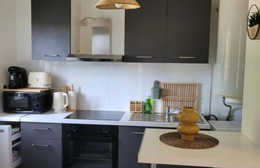 COCOONING HOUSE Suite 216 SWEET AND HARMONY- AEROPORT PARIS ROISSY CDG, PARC ASTERIX, CHATEAU DE CHANTILLY, STADE DE FRANCE - Foto 3